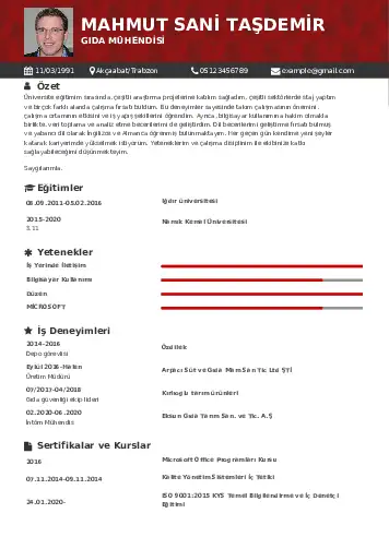 Gıda Mühendisi CV Örnekleri cv indir